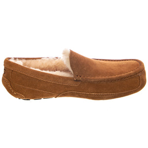 ASCOT SHOES CHESTNUT - Scarpe / Mocassini Profilo Basso Uomo Marroni UGMASCCHE1101110M . UGG 