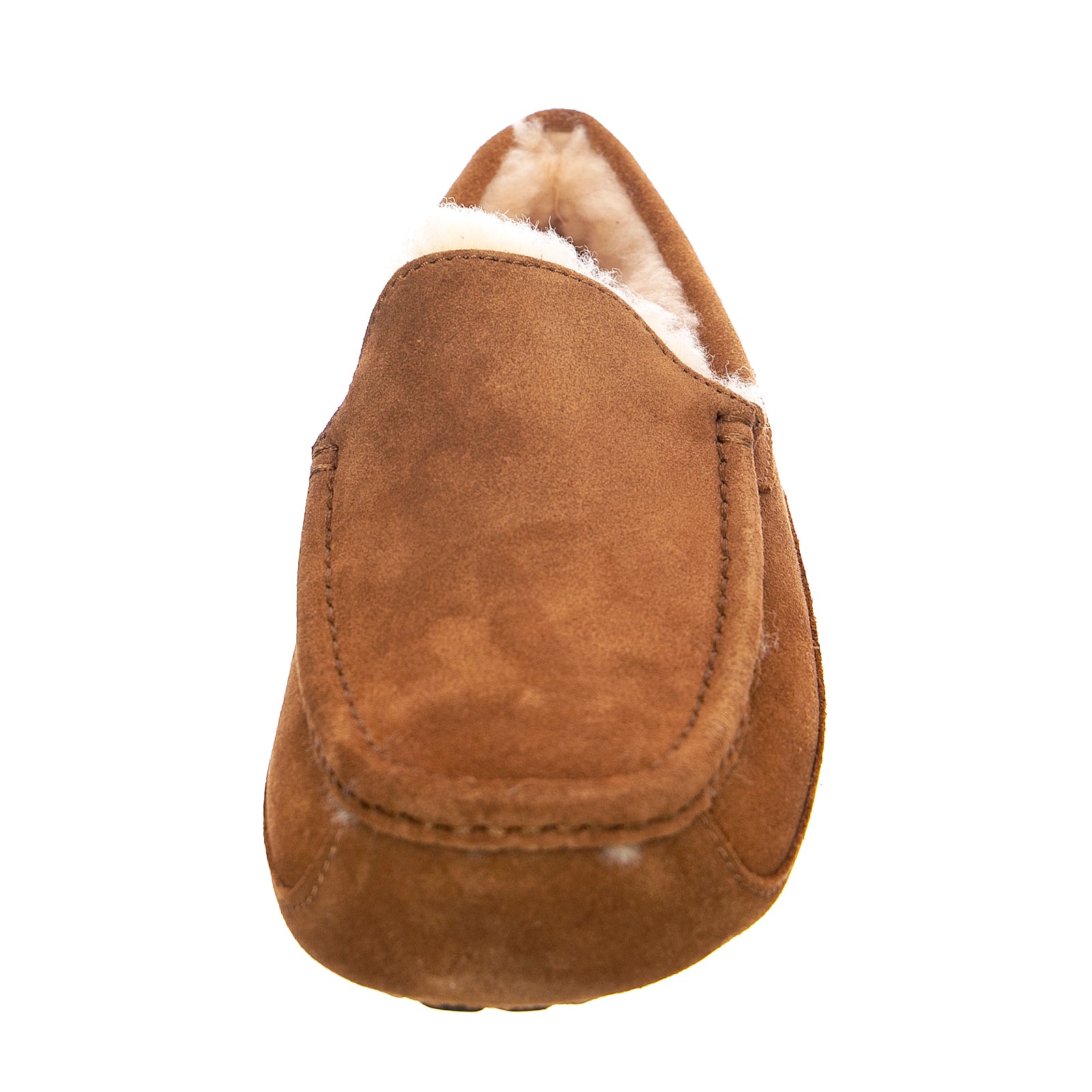ASCOT SHOES CHESTNUT - Scarpe / Mocassini Profilo Basso Uomo Marroni UGMASCCHE1101110M . UGG 