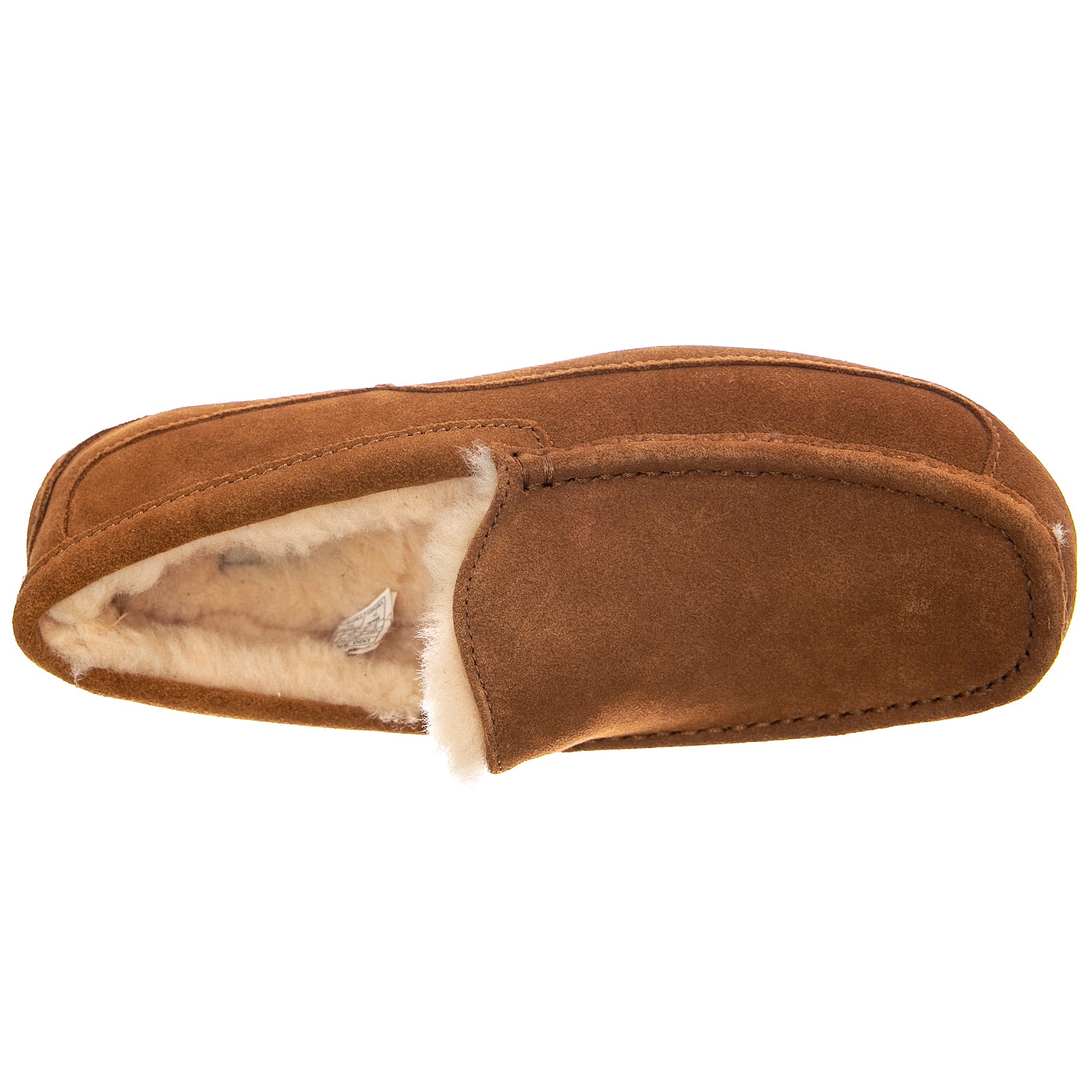 ASCOT SHOES CHESTNUT - Scarpe / Mocassini Profilo Basso Uomo Marroni UGMASCCHE1101110M . UGG 