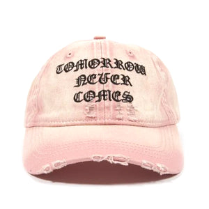 Destroy Never Comes 6 Panels Cap Faded Sour Pink - Cappellino con Visiera Rosa SS24P2 . WASTED PARIS 