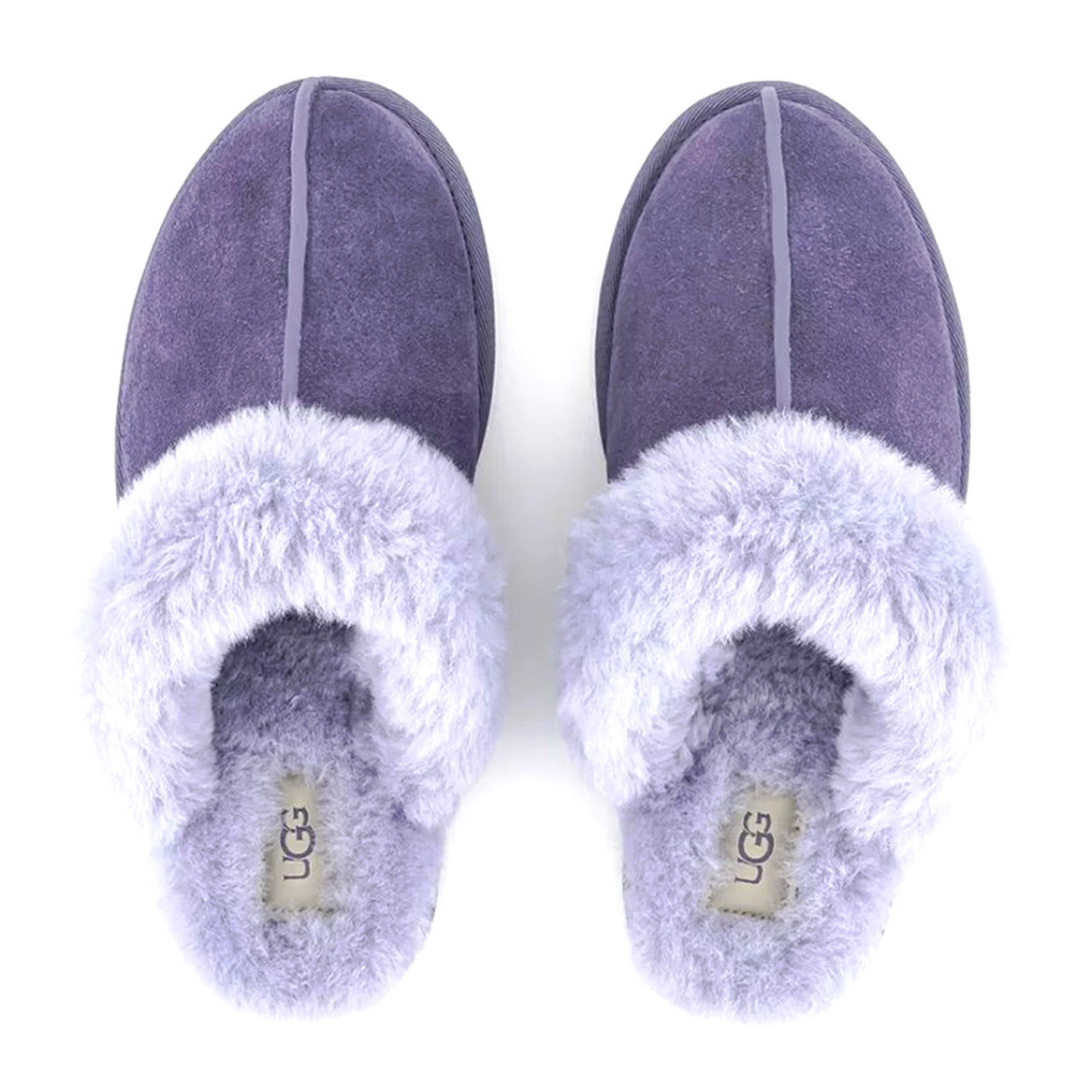 UGG SCUFFETTE II LILAC MAUVE - Pantofole Donna Viola UGSSCUFLMV1106872W . UGG 
