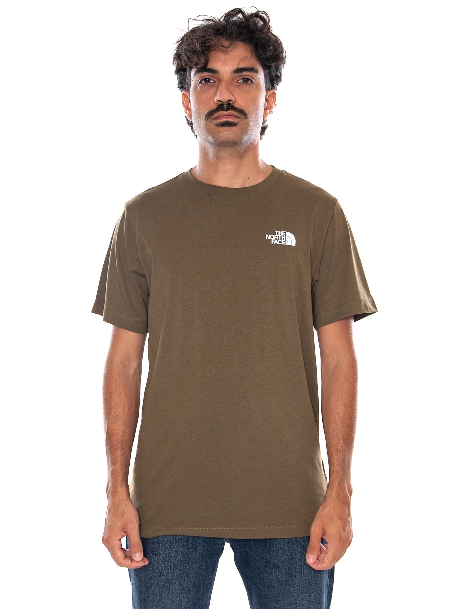 THE NORTH FACE M EVO BOX NSE REG SS T CARAWAY SEE - Maglietta Girocollo Uomo Verde NF0A8B6K 2EK1 THE NORTH FACE 