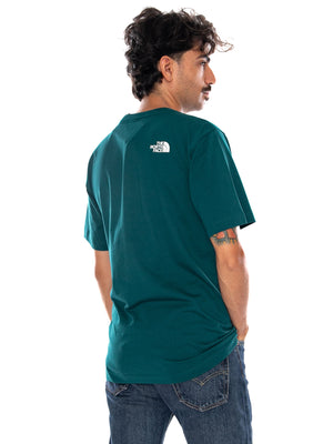 THE NORTH FACE M EVO BOX HD RG SS T PACIFIC TEAL / SMALL - Maglietta Girocollo Uomo Verde NF0A8G9C N4J1 THE NORTH FACE 