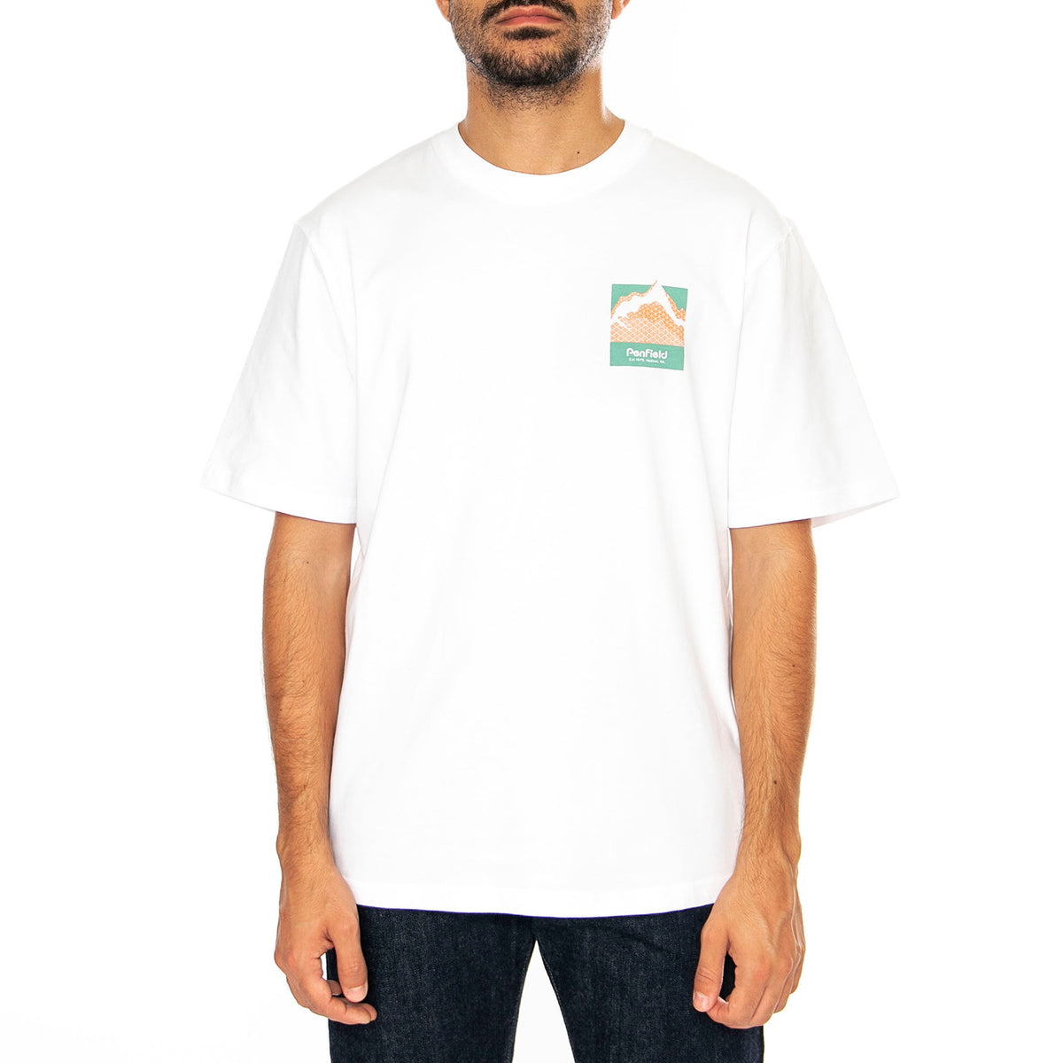 Mountain Back Print T-Shirt Bright White - Maglietta Girocollo Uomo Bianca PFD0494-002 . PENFIELD 