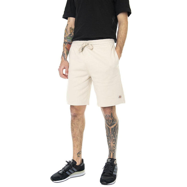  DK0A4XAYC391  DICKIES 