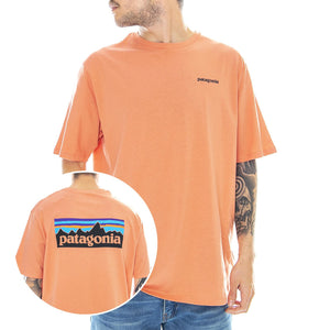  38535-MEMN  PATAGONIA 