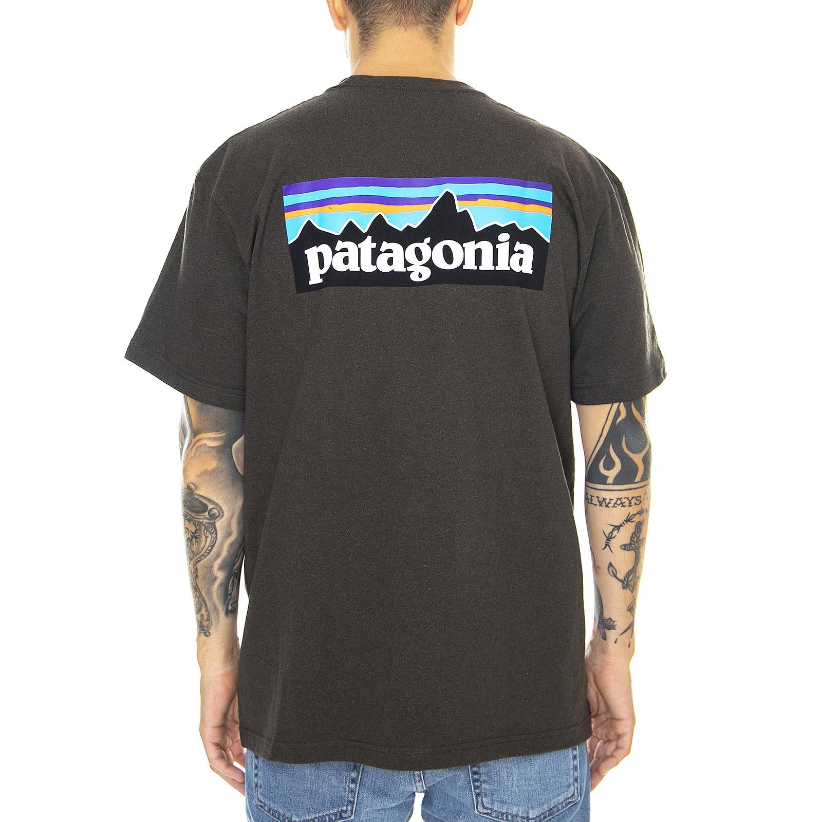  39174-LDBR  PATAGONIA 