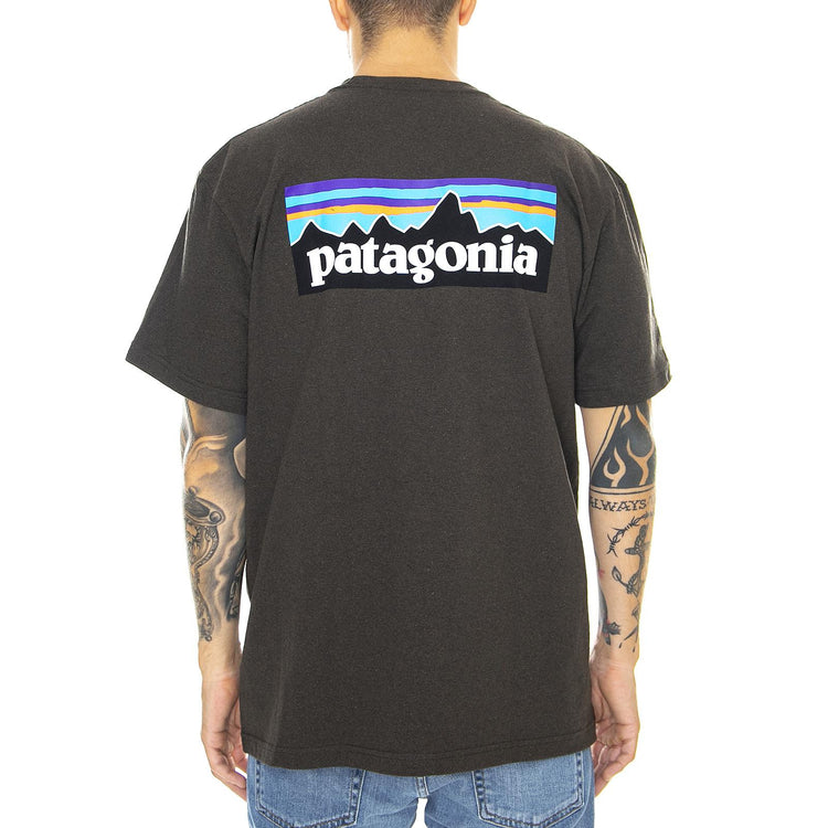  39174-LDBR  PATAGONIA 