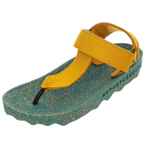  P018077005  ASPORTUGUESAS 