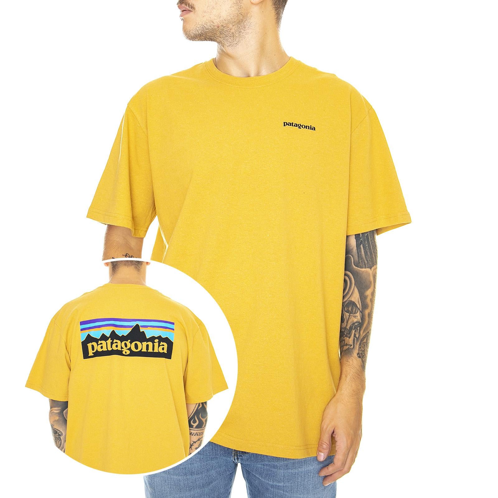  39174-GPGO  PATAGONIA 