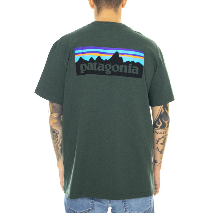  39178-ARGR  PATAGONIA 