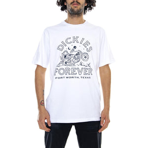  06 210643-WH  DICKIES 