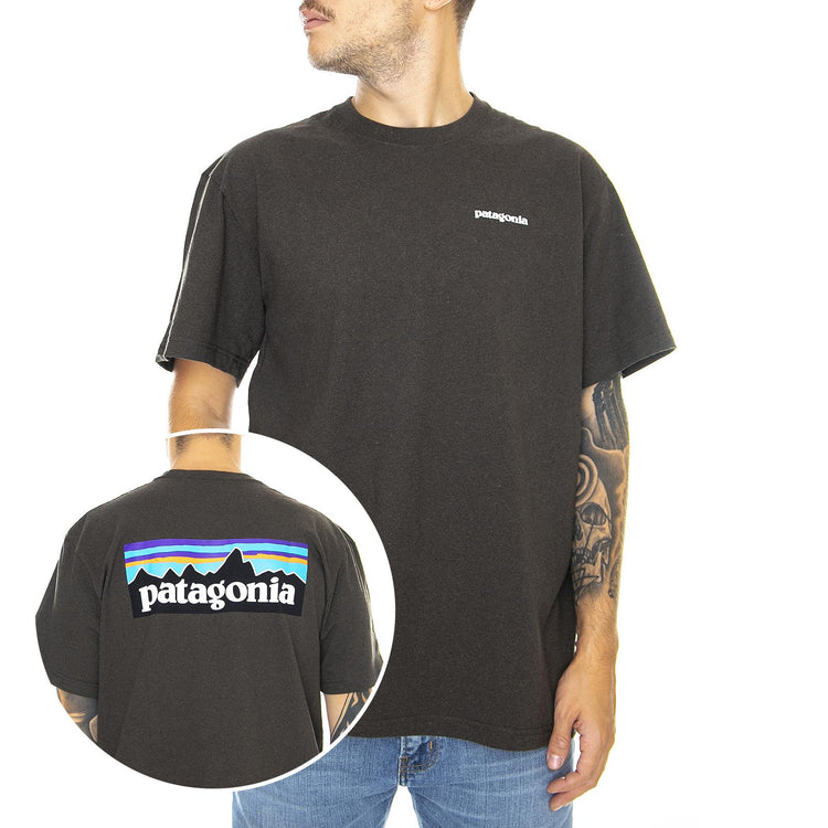  39174-LDBR  PATAGONIA 