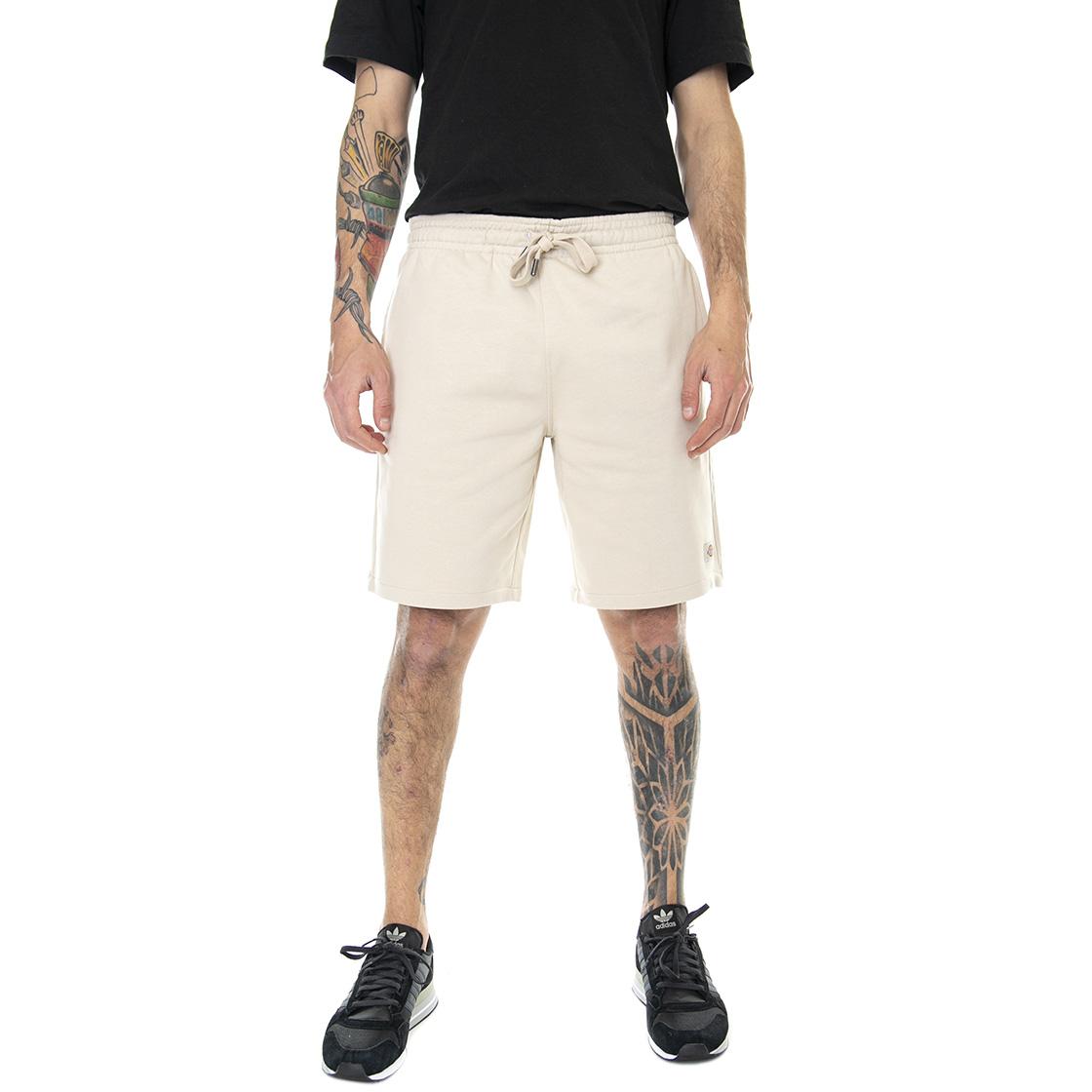  DK0A4XAYC391  DICKIES 