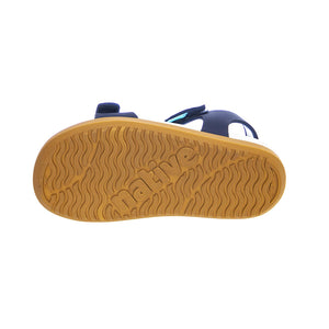  63105500-4226  NATIVE 