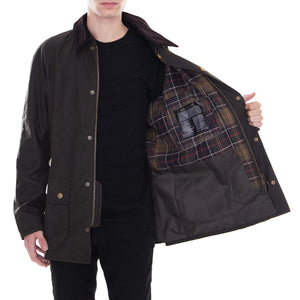  BACPS0819-OL71FW18  BARBOUR 