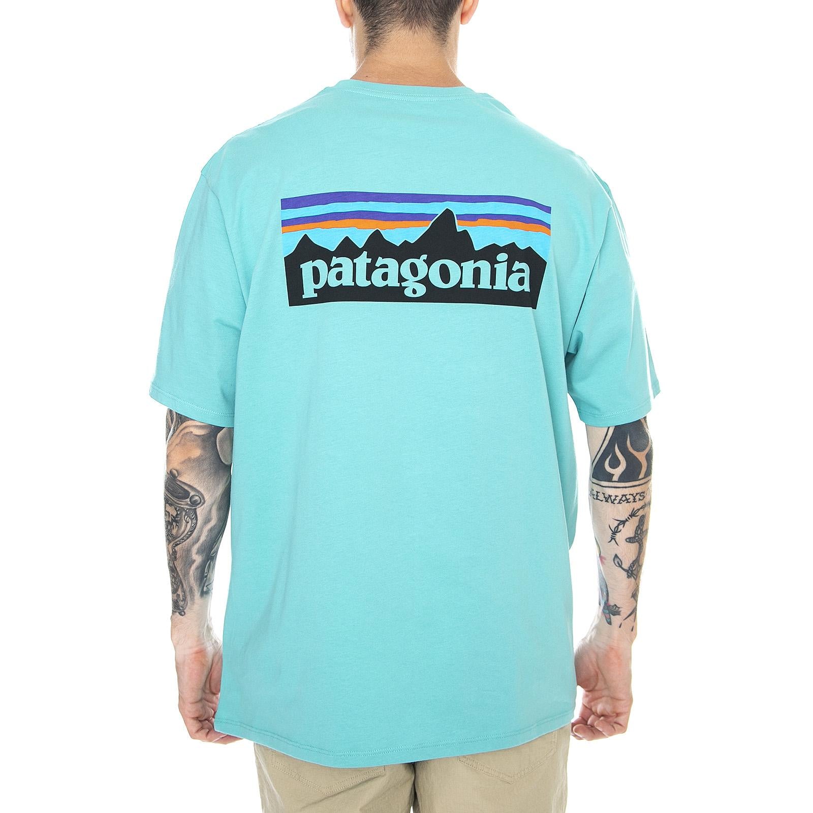  38535-LBYG  PATAGONIA 