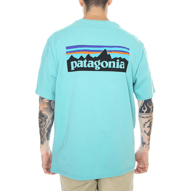  38535-LBYG  PATAGONIA 