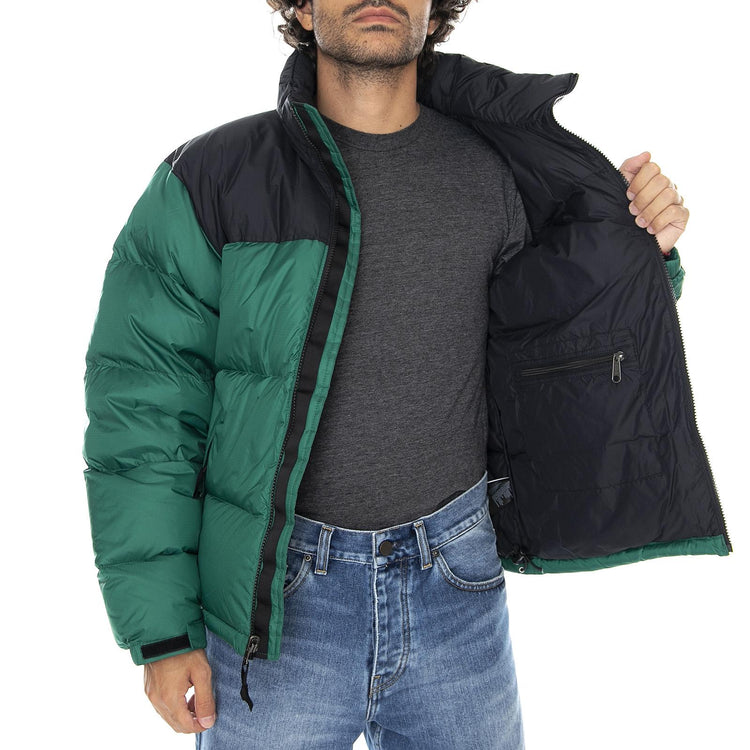  NF0A3C8DNL11  THE NORTH FACE 