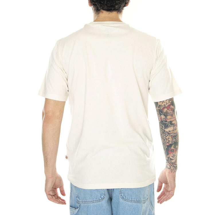 SS Mapleton T-Shirt Whitecap Gray - Maglietta Girocollo Uomo Beige DK0A4XDBF901  DICKIES 