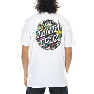  SC-SS21-027  SANTA CRUZ 