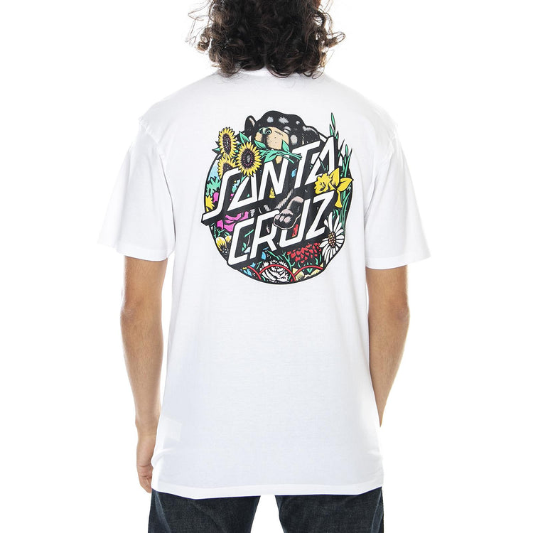  SC-SS21-027  SANTA CRUZ 