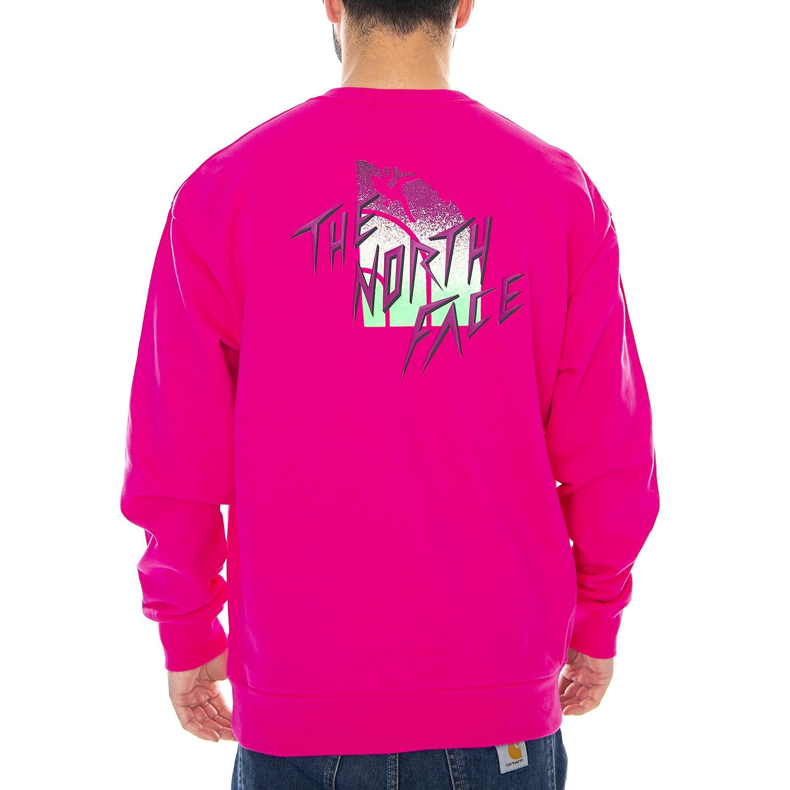  NF0A4C9JWUG  THE NORTH FACE 