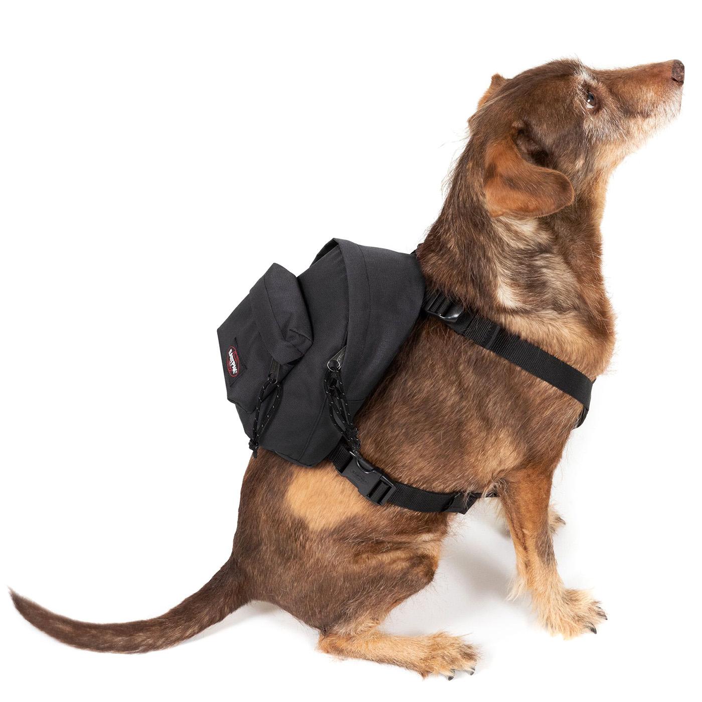 Dog Pak'R Black - Zaino Nero EK0A5BEO0081  EASTPAK 