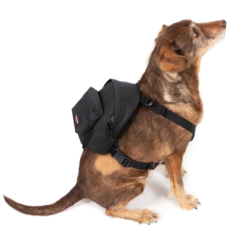 Dog Pak'R Black - Zaino Nero EK0A5BEO0081  EASTPAK 