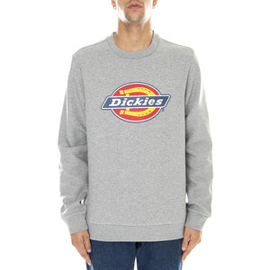  DK0A4XCIGYM1  DICKIES 