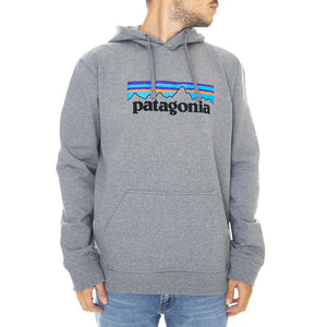  39539-GLH  PATAGONIA 