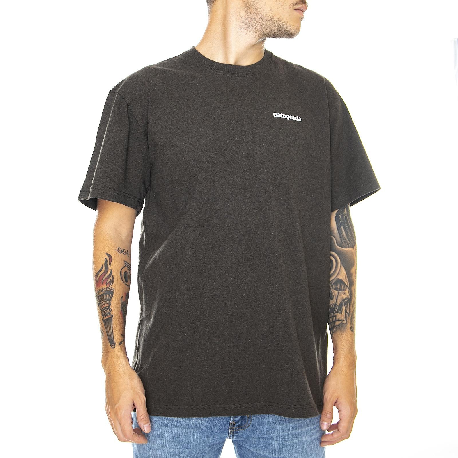  39174-LDBR  PATAGONIA 