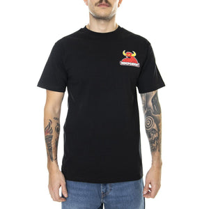  INA-TEE-6290  INDEPENDENT 