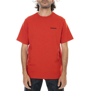  38504-HTE  PATAGONIA 