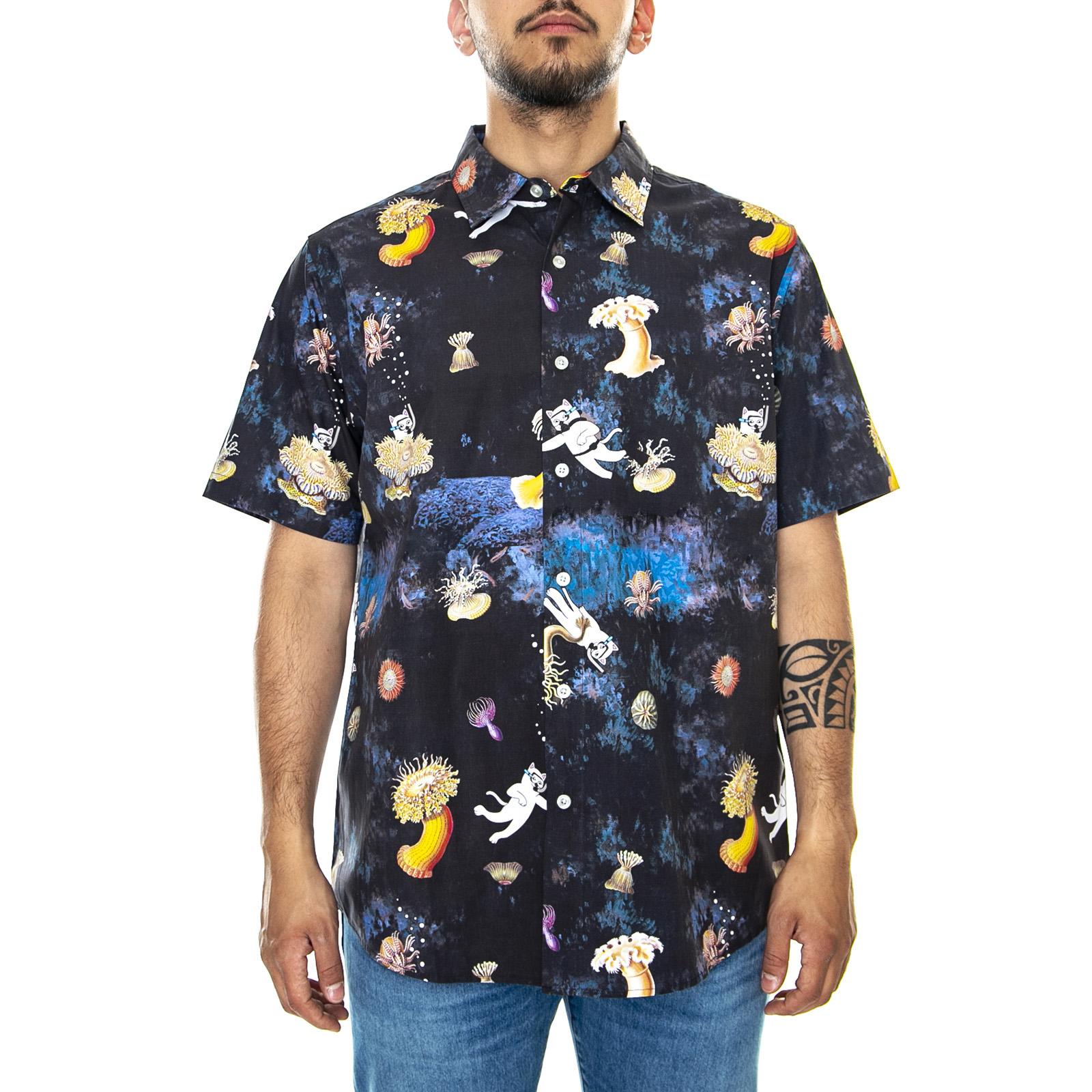 RND3504  RIPNDIP 