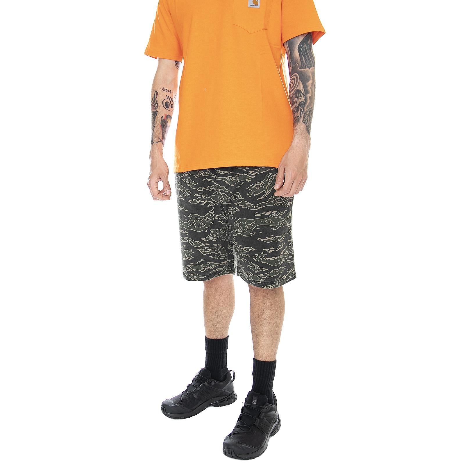  GB01916000-TCAM  GLOBE 