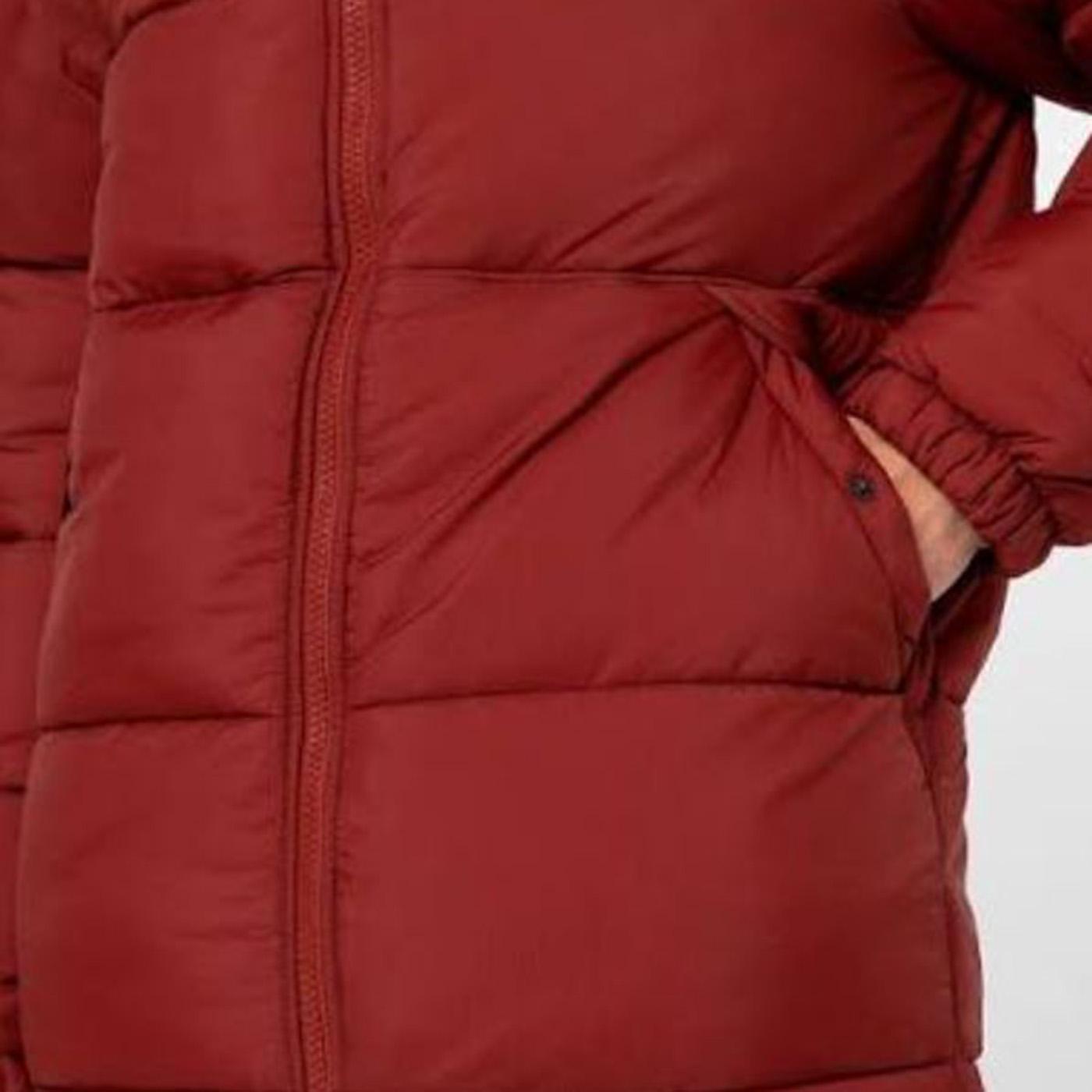 WALDENBURG HOODED JACKET FIRED BRICK - Giacca con Cappuccio Uomo Marrone DK0A4YEYG041 . DICKIES 