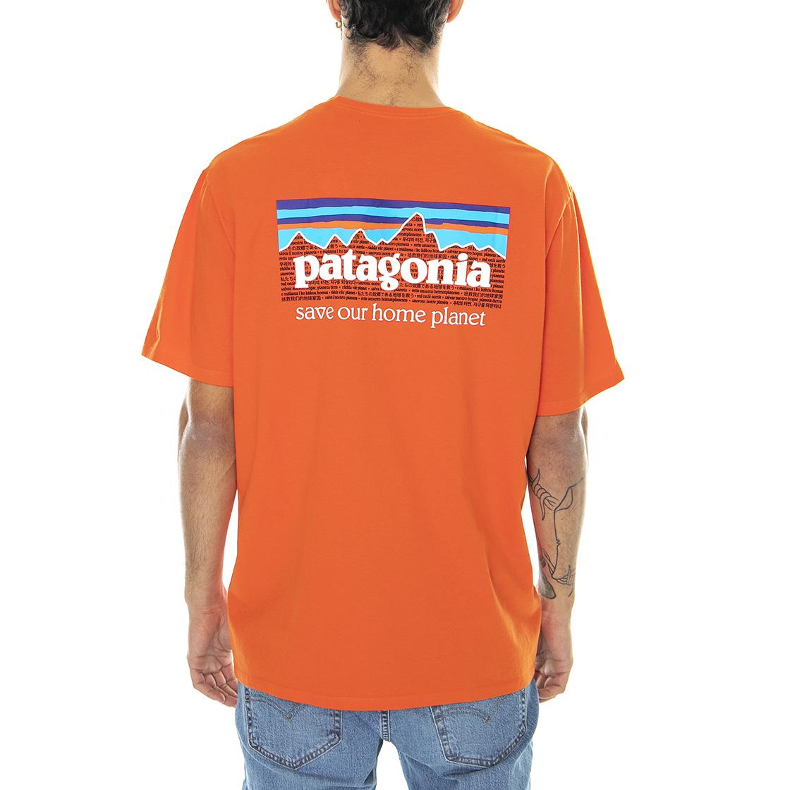  37529-MEOR  PATAGONIA 