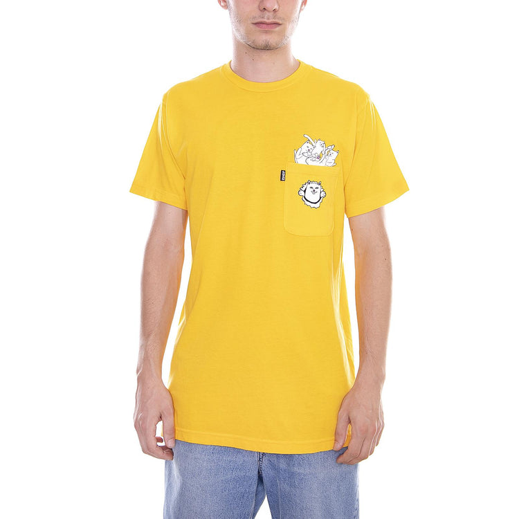  RIP1415  RIPNDIP 