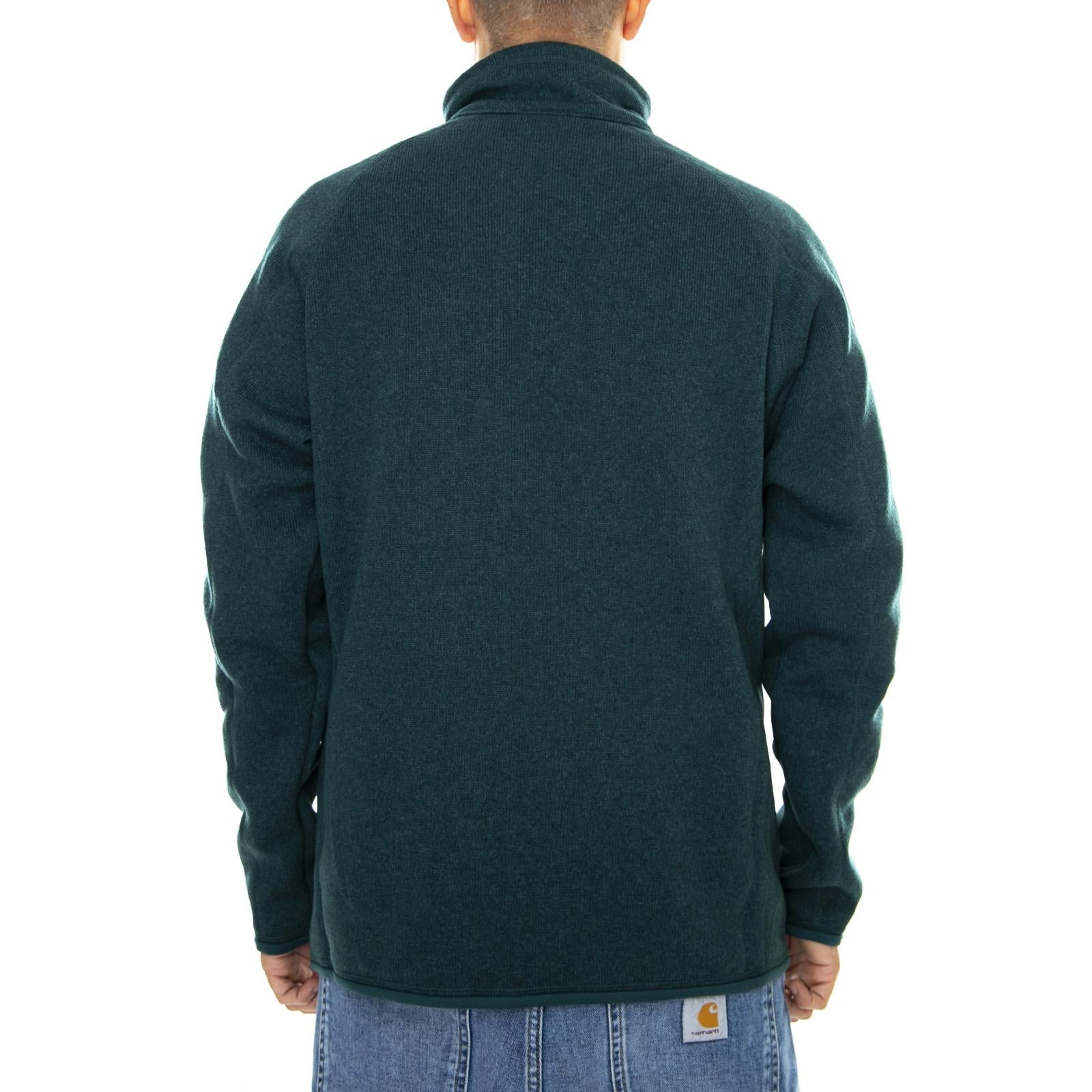  25528-PIGR  PATAGONIA 