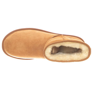 Mini Classic Boots - Chestnut - Stivaletti alla Caviglia Uomo Marroni UGMCLMCN1002072M . UGG 