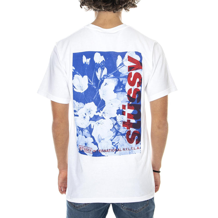  1904589-WHIT  STUSSY 