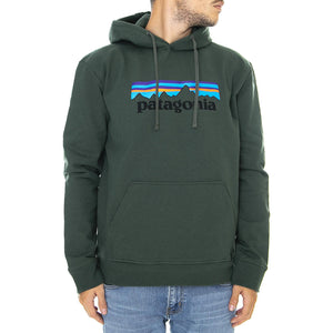  39539-ARGR  PATAGONIA 