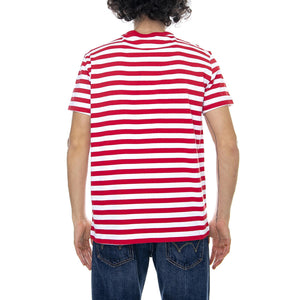  212972-RM005  CHAMPION 