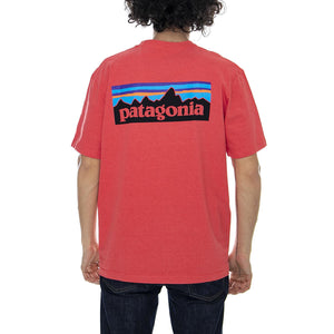  39174-TOMA  PATAGONIA 