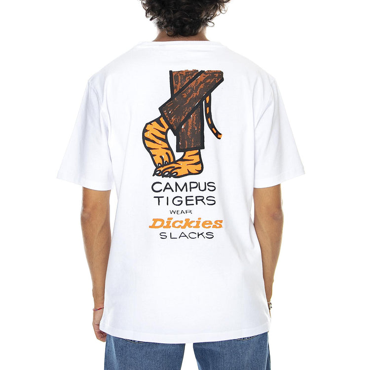  DK0A4X6TWHX1  DICKIES 