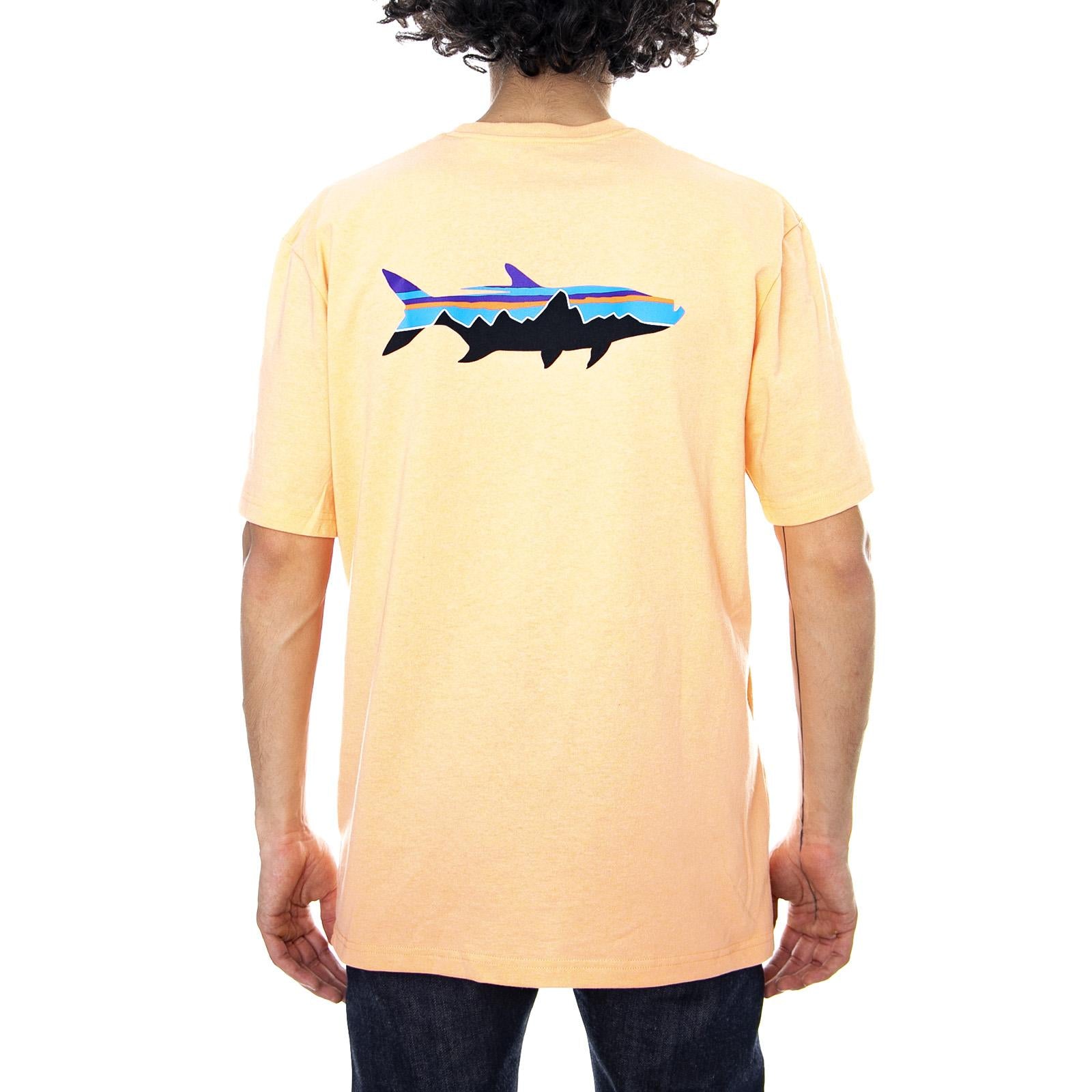  39165-PCHS  PATAGONIA 