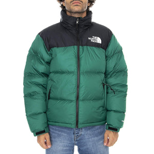  NF0A3C8DNL11  THE NORTH FACE 