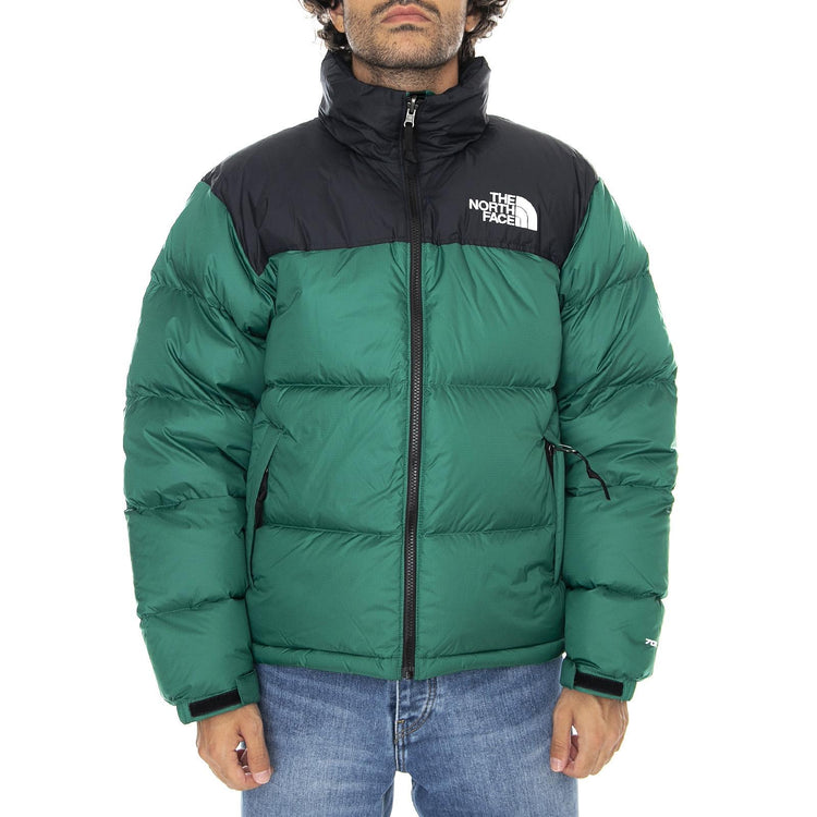  NF0A3C8DNL11  THE NORTH FACE 