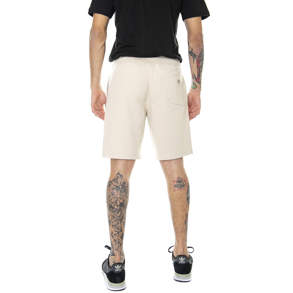  DK0A4XAYC391  DICKIES 